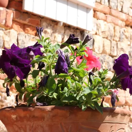 La Cour Martin A 7 Km D'etretat-gite Classe 3 Etoiles بيت للعطل Cuverville (Seine-Maritime)