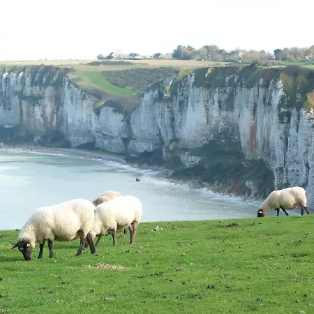 La Cour Martin à 7 Km D'etretat-gîte Classé 3 étoiles Casa de Férias