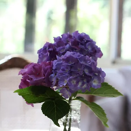 La Cour Martin A 7 Km D'etretat-gite Classe 3 Etoiles Cuverville (Seine-Maritime)